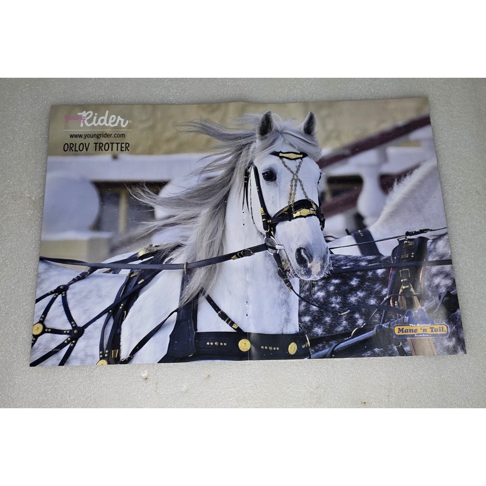 Orlov Trotter White Horse Centerfold Poster Karl Cook 2024 Young Rider Magazine